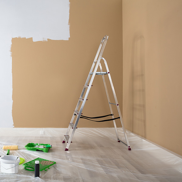 Ladders & Scaffolds